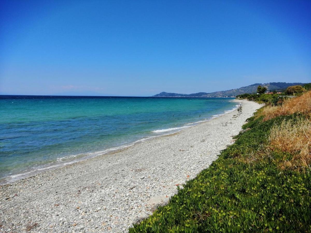 Herodicus Villa Νέα Σκιώνη Εξωτερικό φωτογραφία