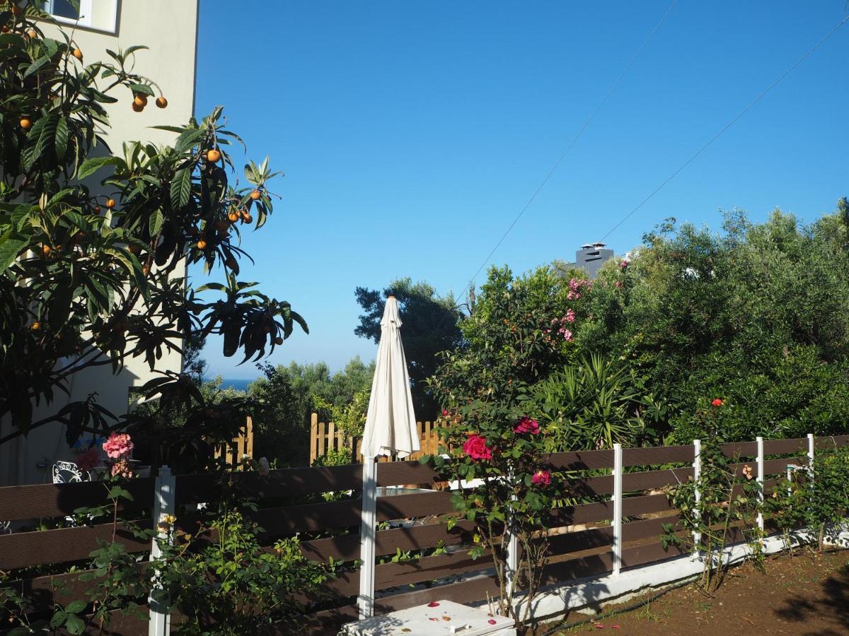 Herodicus Villa Νέα Σκιώνη Εξωτερικό φωτογραφία
