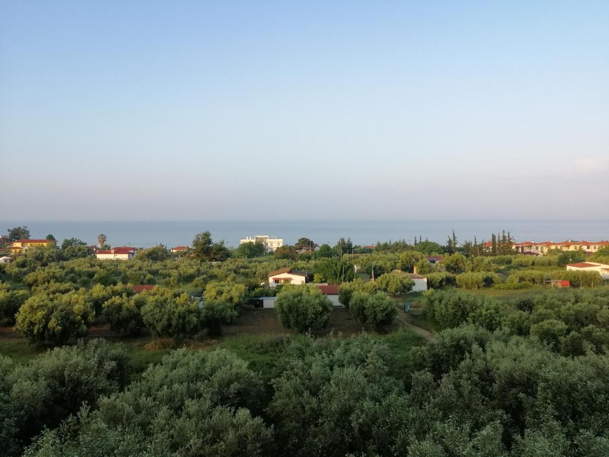Herodicus Villa Νέα Σκιώνη Εξωτερικό φωτογραφία